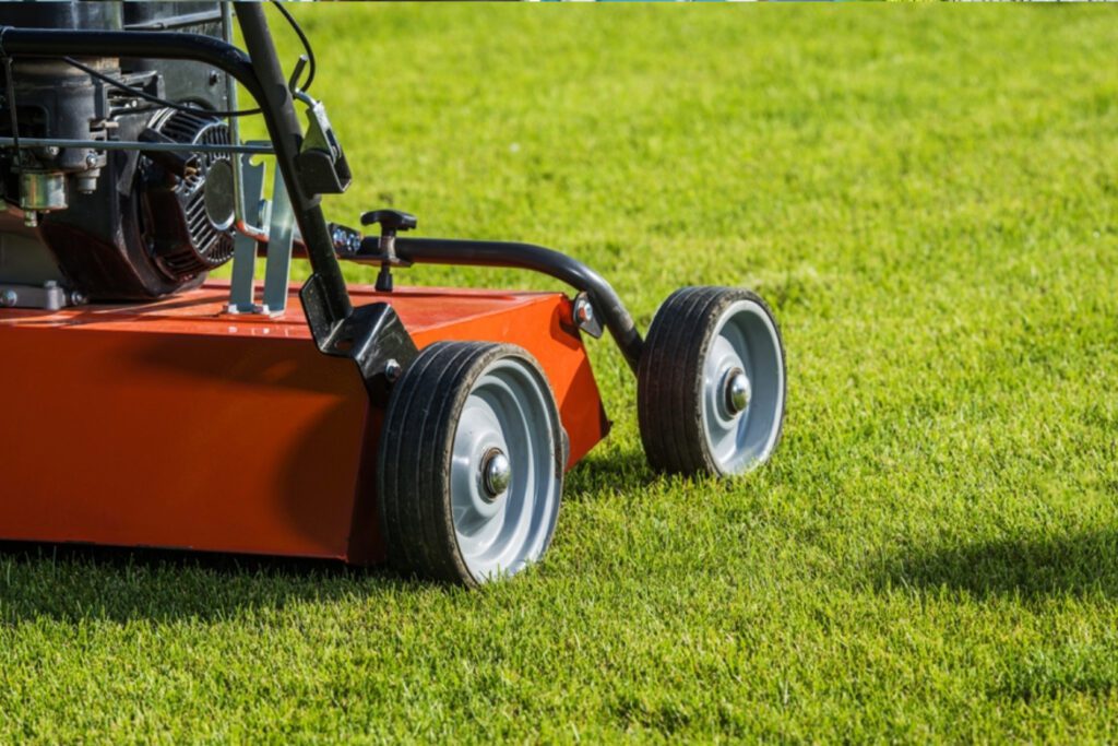 Commercial Lawn Power Rake by LandSharx Lawn Care