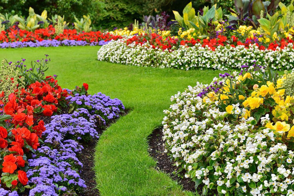 Flower Bed Maintenance by LandSarx Landscaping Edmonton and LandSharx Landscaping Calgary